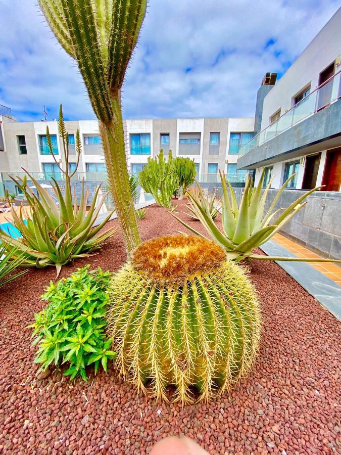 Appartamento Mar De Fuerteventura 2 Corralejo Esterno foto